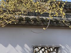 -无锡梅园公园