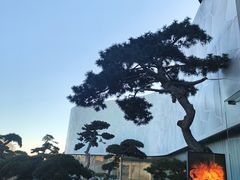 -罗红摄影艺术馆