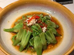 炝拌水性杨花-芸山季·云南野生菌火锅(南翔印象城MEGA店)