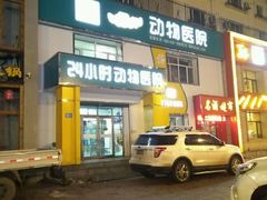 -瑞派宠物医院·24小时骨科·心脏·核磁(哈尔滨南岗店)