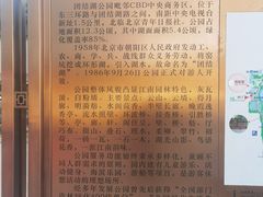 -团结湖公园
