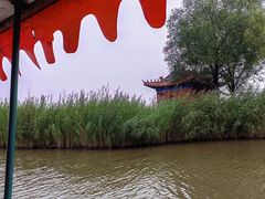 -哈素海
