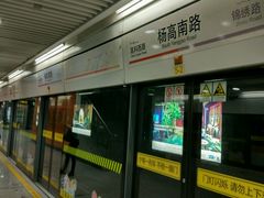 -杨高南路(地铁站)