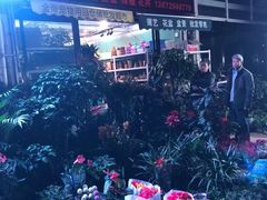 -中环花鸟鱼虫市场