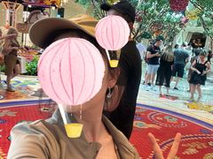 -拉斯维加斯永利酒店