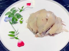 -蝶园·装修中(BFC外滩金融中心店)