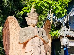 -瑞丽活螃蟹(芒市店)