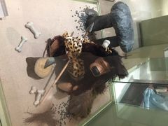 泰迪熊博物馆-济州岛泰迪熊博物馆