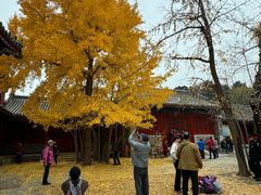 -承恩寺