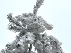 -浙西天池景区