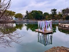 -无锡蠡湖国家湿地公园-蠡园
