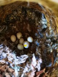 -Zoolung Zoolung动物主题公园(海信广场店)