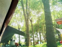-嘉北郊野公园