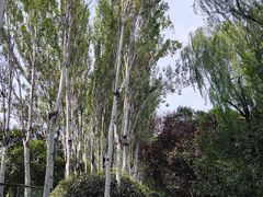 -城市运动公园(未央区)