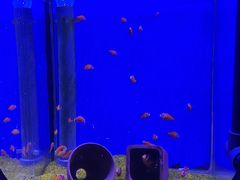 -海合安武汉极地海洋公园