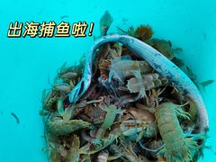 -日照海滨国家森林公园