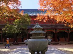 -灵谷景区