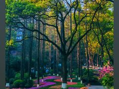 -忠山公园