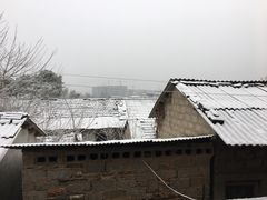 -水绘园