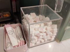 -狐狸和向日葵(北京路店)