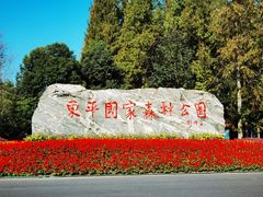 -东平国家森林公园