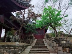 -广富林郊野公园
