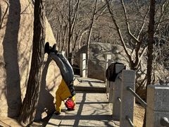 -崂山巨峰游览区