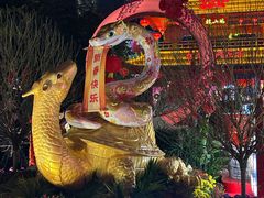 -越秀西湖花市(广州城市广场花卉店)