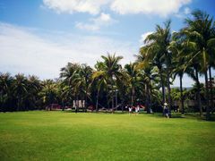 android_upload_pic-三亚亚龙湾红树林度假酒店