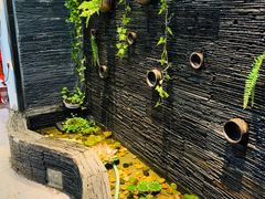 -一只烧鸡公(解放碑店)