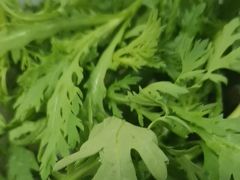 -草原传奇鲜羊火锅(桥北店)