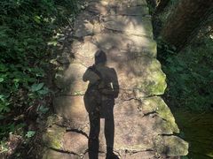 -天目山大树王景区