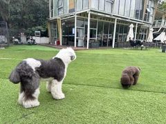 -名驭国际马术学院