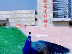 -石家庄市植物园