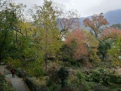 -塔川景区