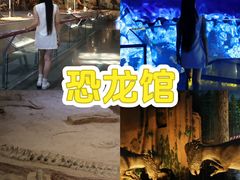 -中国西峡恐龙遗迹园