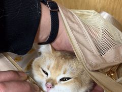 -美联众合动物医院·24h京西诊疗中心