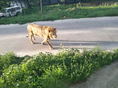 -西安秦岭野生动物园