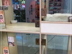 -屋虎猫馆(宝安大仟里店)