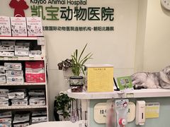 -悦宠凯宝动物医院·牙科·皮肤科(朝阳北路店)