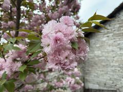 -高荡千年布依古寨旅游景区
