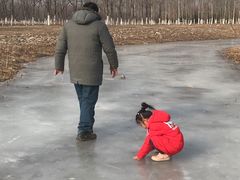 -东郊湿地公园
