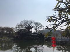 -顺峰山公园