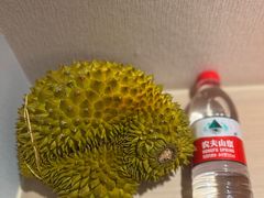 -海吉星市场