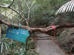 -七仙岭温泉国家森林公园
