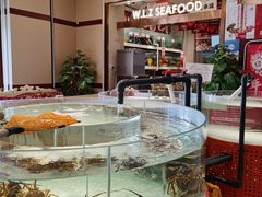 -万龙洲海鲜(大兴绿地缤纷城店)