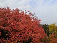 -鬼笑石后山停车场