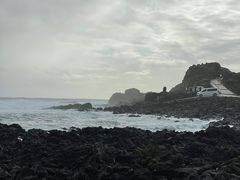 -涉地可支