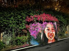 -广州市白云山风景名胜区