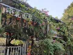 -南宁良凤江国家森林公园